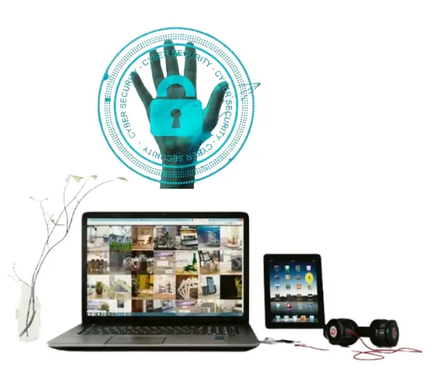 web maintenance & security